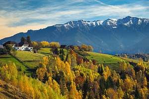 Autumn scenery with deciduous trees, a Nature Photo by Alpine Dreams