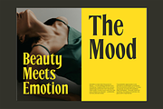CHEVILE - Bold Elegant Display Font, a Serif Font by Pekotype (Thumbnail 11 of 13)