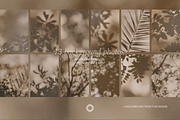 Komorebi Garden Shadows Backgrounds, a Background Graphic by Cosmic Energy Studio (Thumbnail 2 of 5)