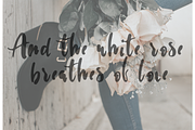 White Rose, a Script Font by Katie Holland (Thumbnail 2 of 7)