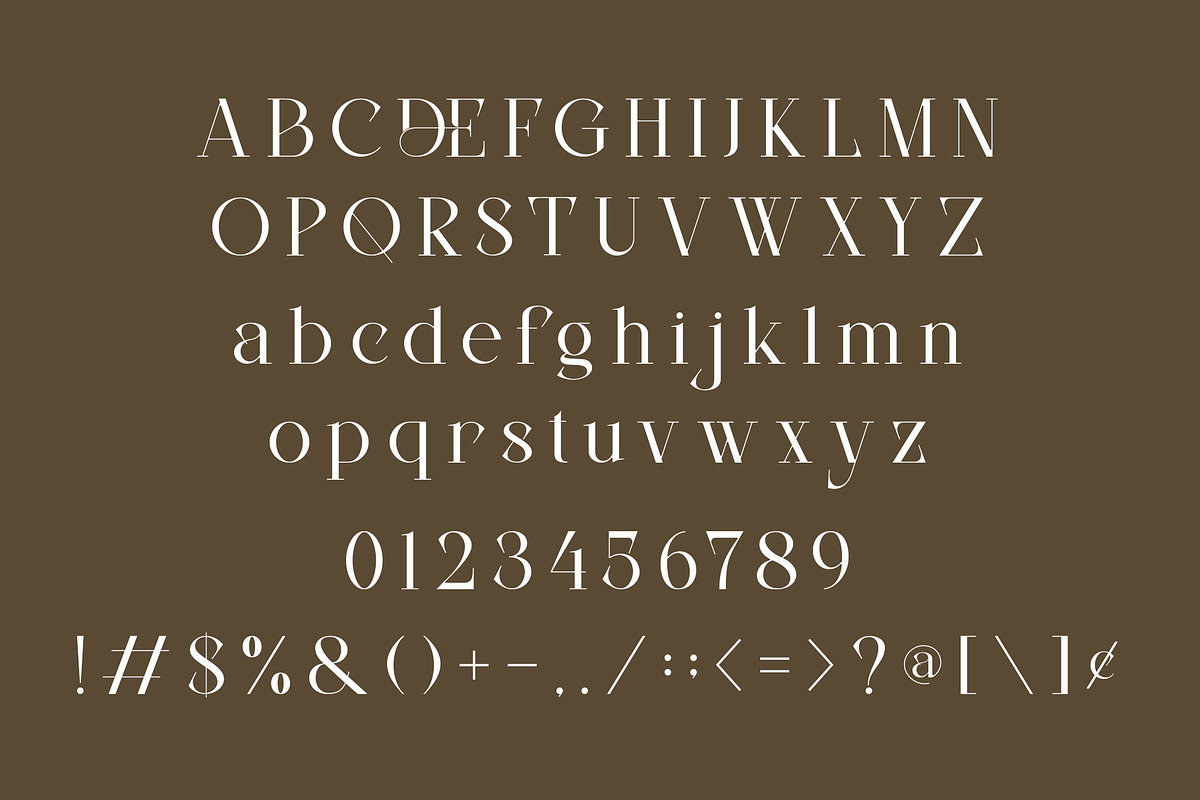 DEVITO - Modern Ligature Serif Font, a Serif Font by AnnofaType (Photo 6 of 8)