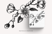 Vintage Cherry Blossom Vector Set, an Object Graphic by Yevheniia (Thumbnail 2 of 9)