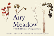 Airy Meadow — Wild Red Berries & Org, an Object Graphic by Aga Silva (Thumbnail 2 of 5)