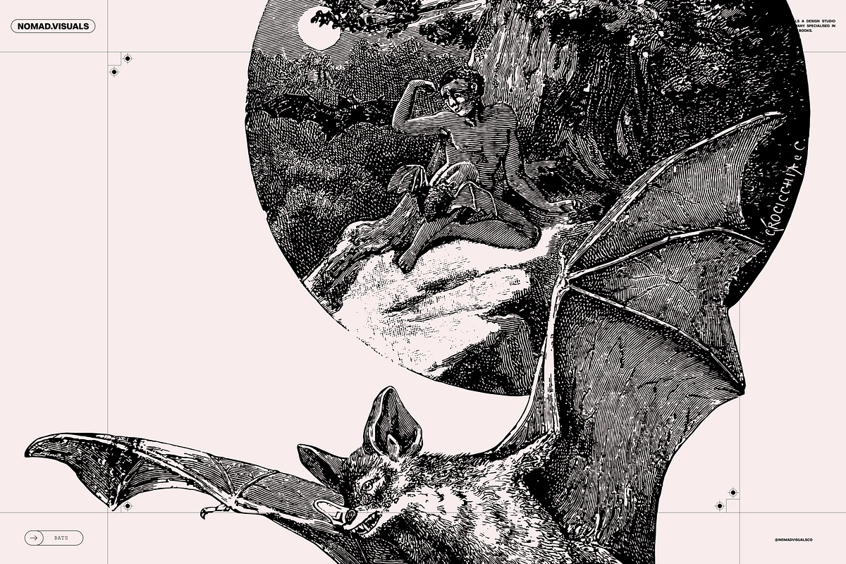 Halloween Special! Bats of the World, an Animal Illustration by Nomad Visuals (Photo 11 of 17)