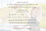 Delightful | Script Font, a Handwritten Font by Scratchones (Thumbnail 7 of 9)