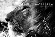 Majestic: Black + White PS Actions, an Action Add-On by Heart + Soul Studios (Thumbnail 12 of 15)