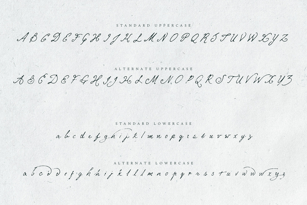 Mythshire vintage script + extras, a Script Font by Twinbrush (Photo 9 of 22)