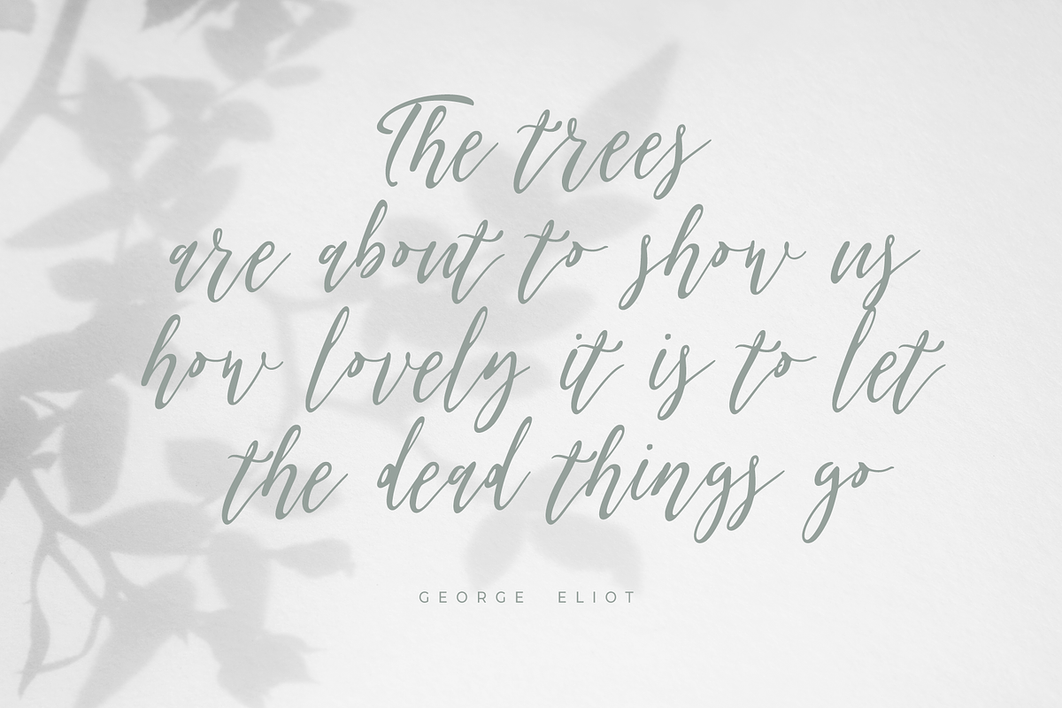 Olis — handmade font family preview 4