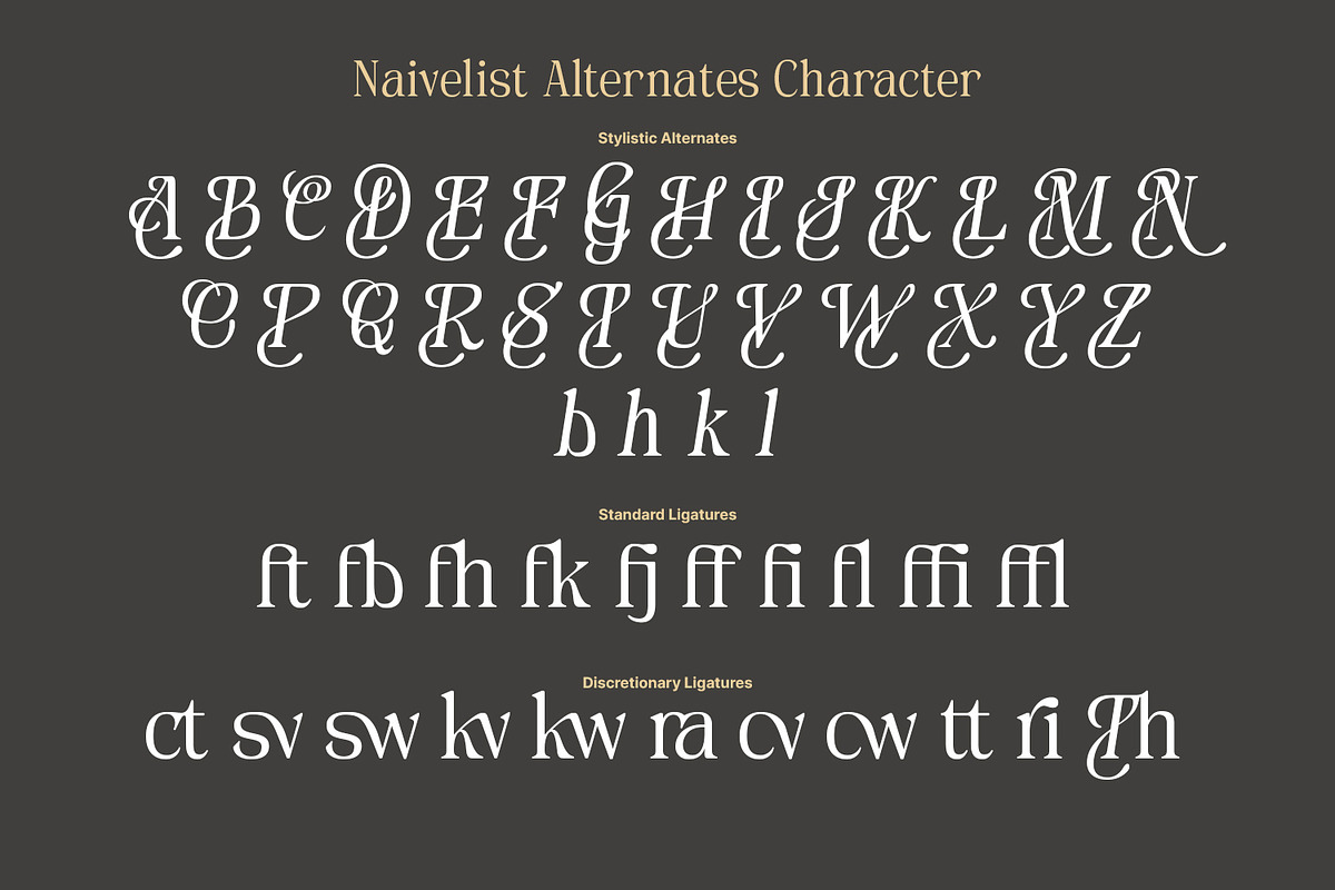 Naivelist, a Serif Font by din-studio.com (Photo 9 of 10)