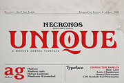 Necronos - Serif font family, a Serif Font by Artistic & Unique (Thumbnail 5 of 15)