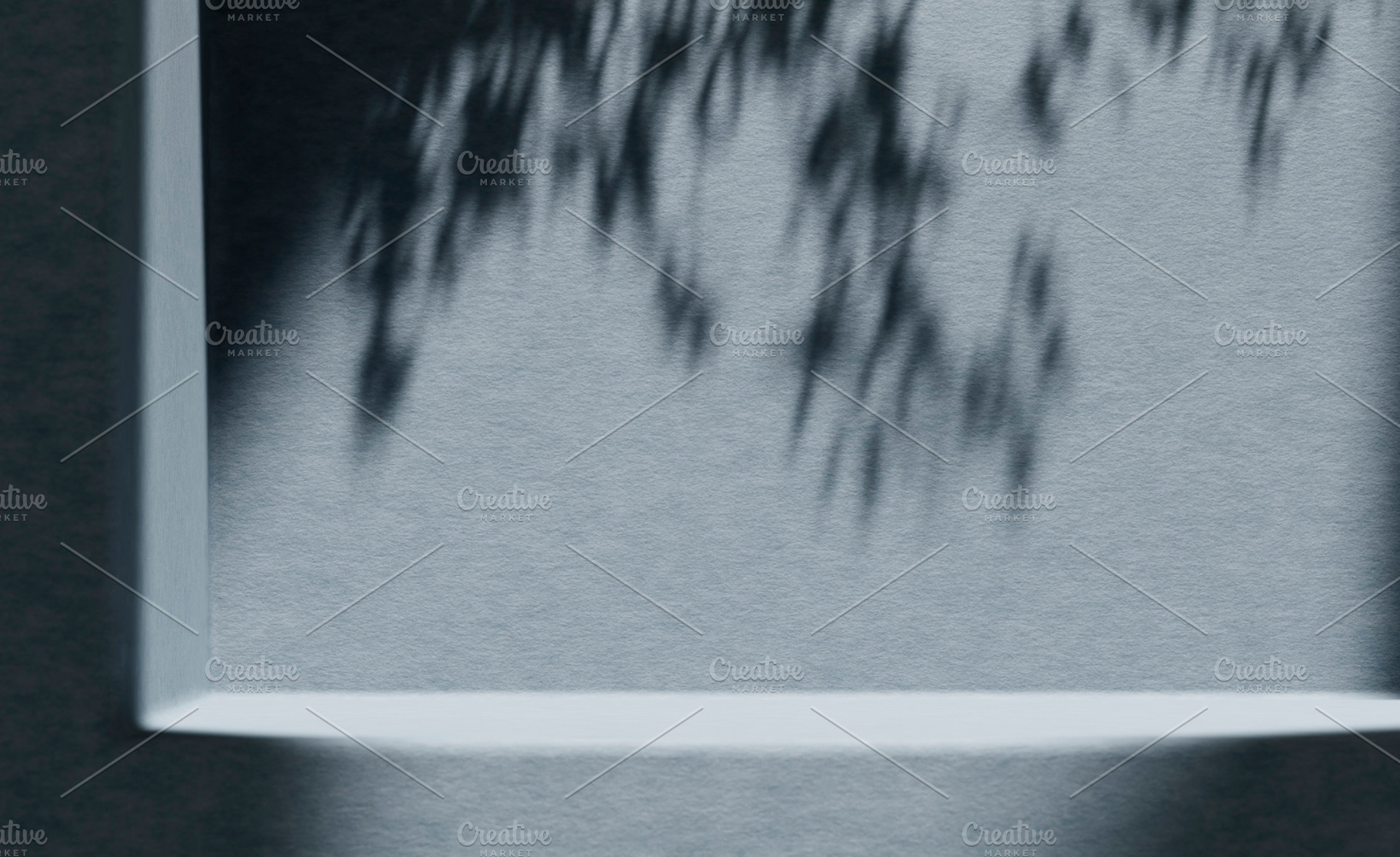 Blue wall plant shadow podium, an Abstract Photo by hitdelight