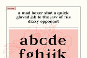 Elder, a Serif Font by kenjiboy (Thumbnail 3 of 4)