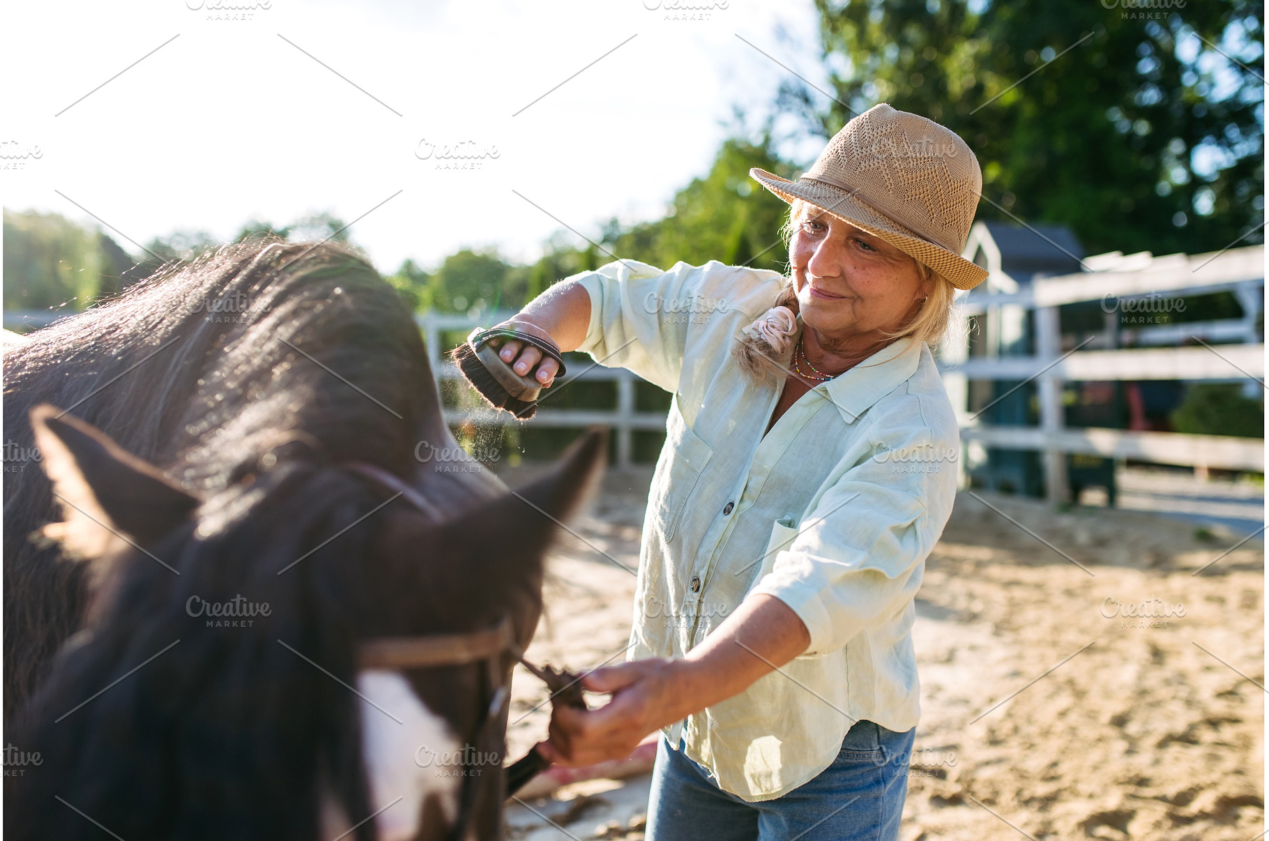 Older woman taking care of horse on, a Person Photo by HalfPoint