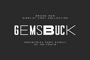 Gemsbuck Modern Vintage Font Family, a Sans Serif Font by Andika Fez (Thumbnail 1 of 13)