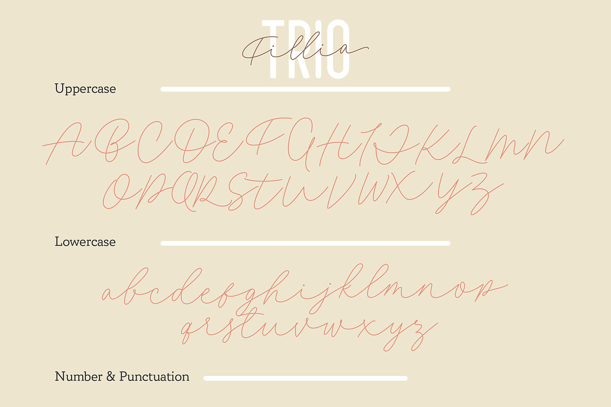 Filia - Script, Sans, & Bold Font, a Script Font by Inspiratype (Photo 10 of 11)
