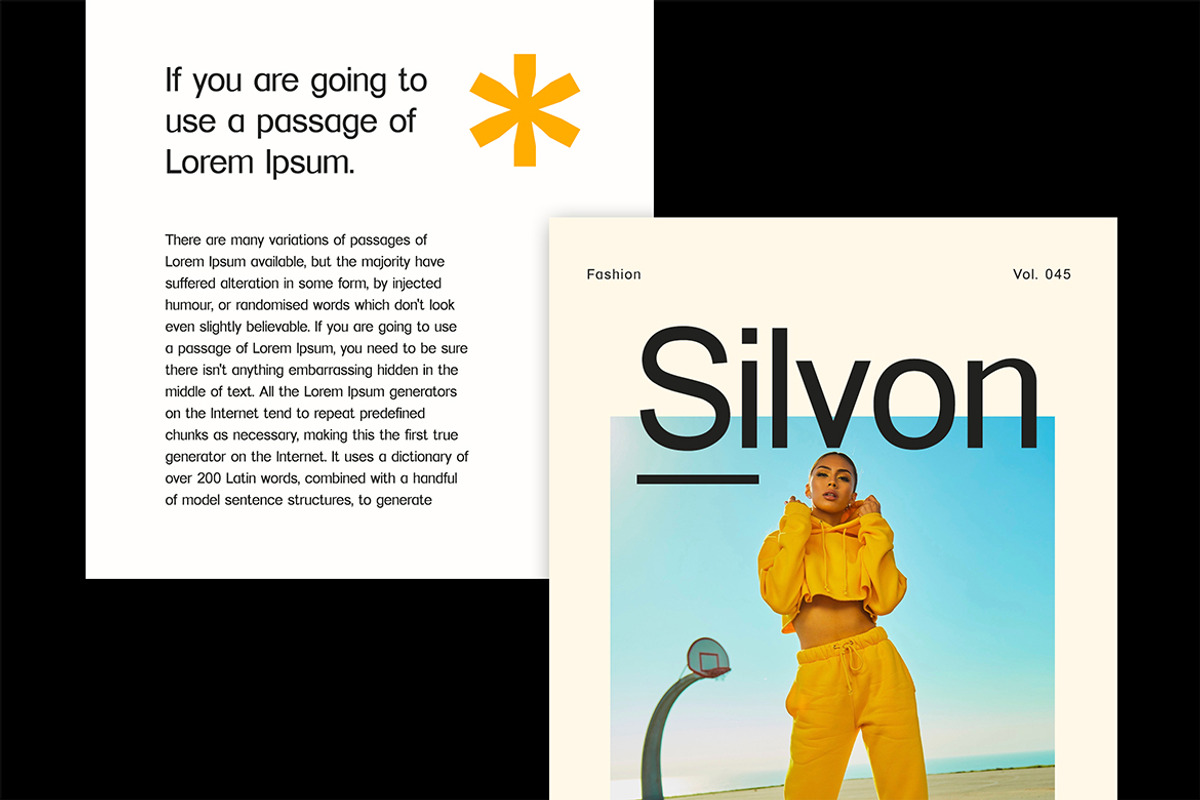 Pavonine Sans Serif Font, a Sans Serif Font by UICreative (Photo 12 of 13)