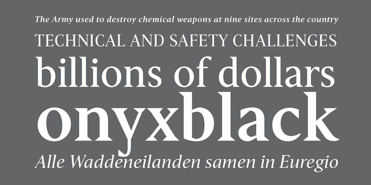 Haggard Nova, a Serif Font by TipografiaRamis (Photo 5 of 9)