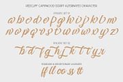 Redcliff Campwood, a Serif Font by din-studio.com (Thumbnail 13 of 16)