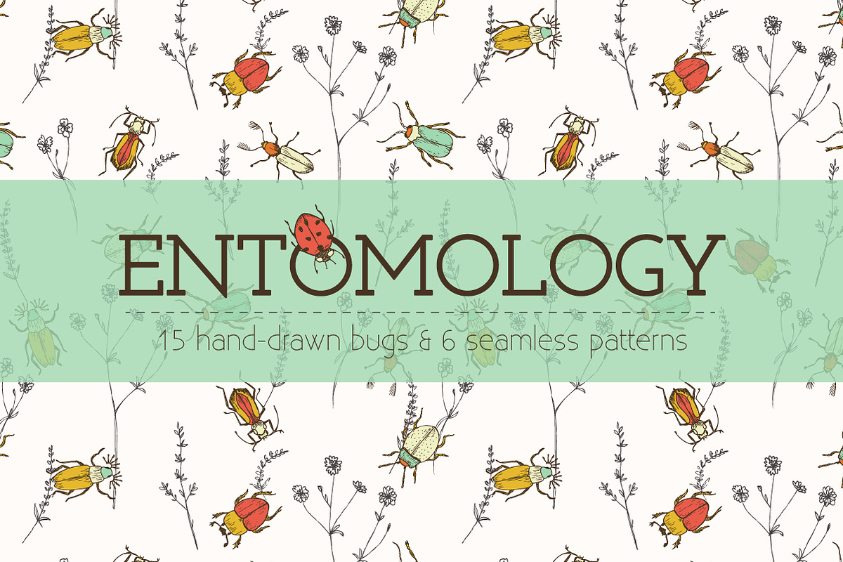 Entomology, a Pattern Graphic by Julia Shvets (Photo 1 of 4)