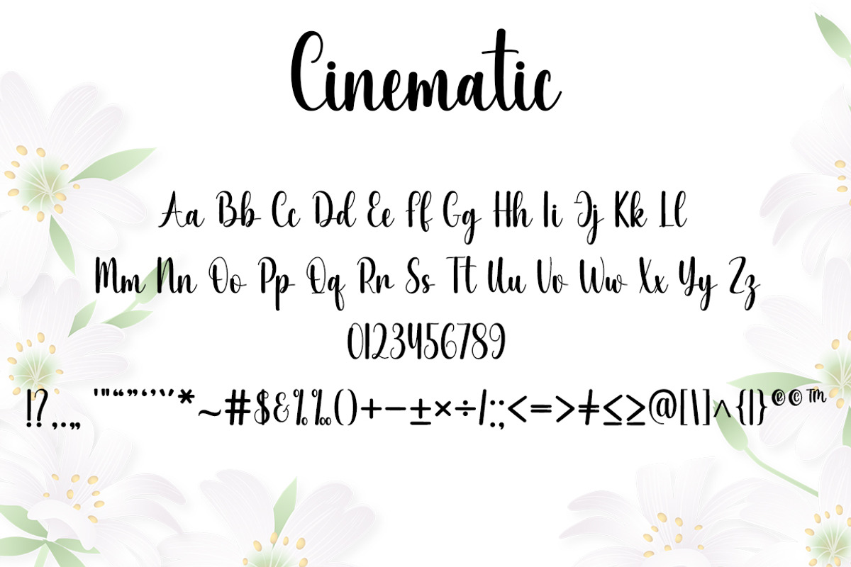 Cinematic, a Handwritten Font by DN Creative (Photo 5 of 6)