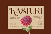 Thaling Modern Serif Font, a Serif Font by Perfectype (Thumbnail 5 of 8)