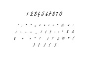 Tropical Streamline Handwritten Font, a Handwritten Font by UICreative (Thumbnail 4 of 13)