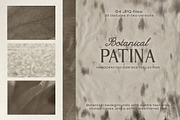 Botanical Patina Backgrounds, a Background Graphic by DigARTbyHavroshka (Thumbnail 1 of 12)