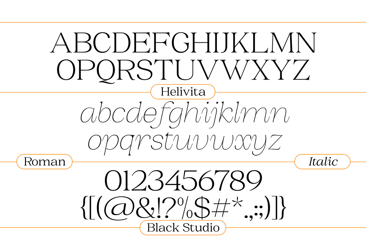 BS Helivita, a Font by Black Studio (Photo 15 of 15)