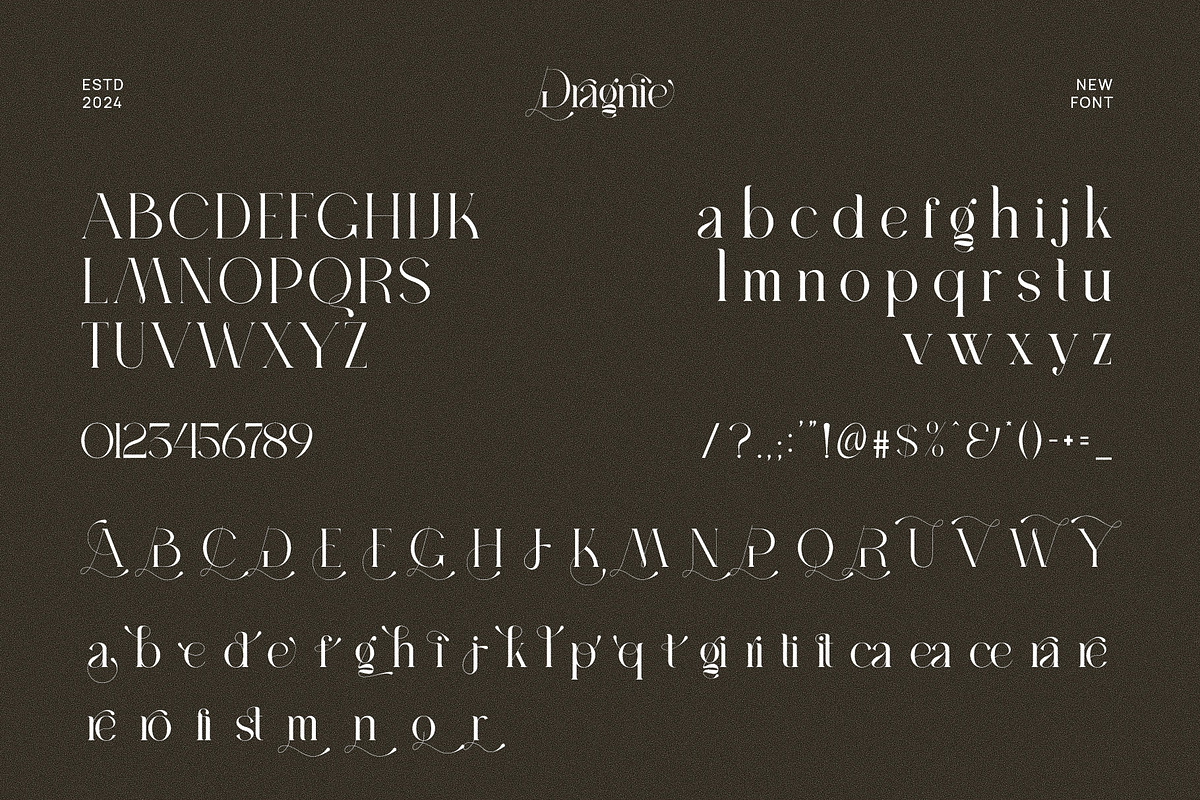 Dragnie Elegant Ligature Serif Font, a Serif Font by Perfectype (Photo 6 of 6)
