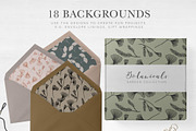 Ginkgo Botanicals - Florals & Leaves, an Illustration by Momo Studio (Thumbnail 10 of 13)