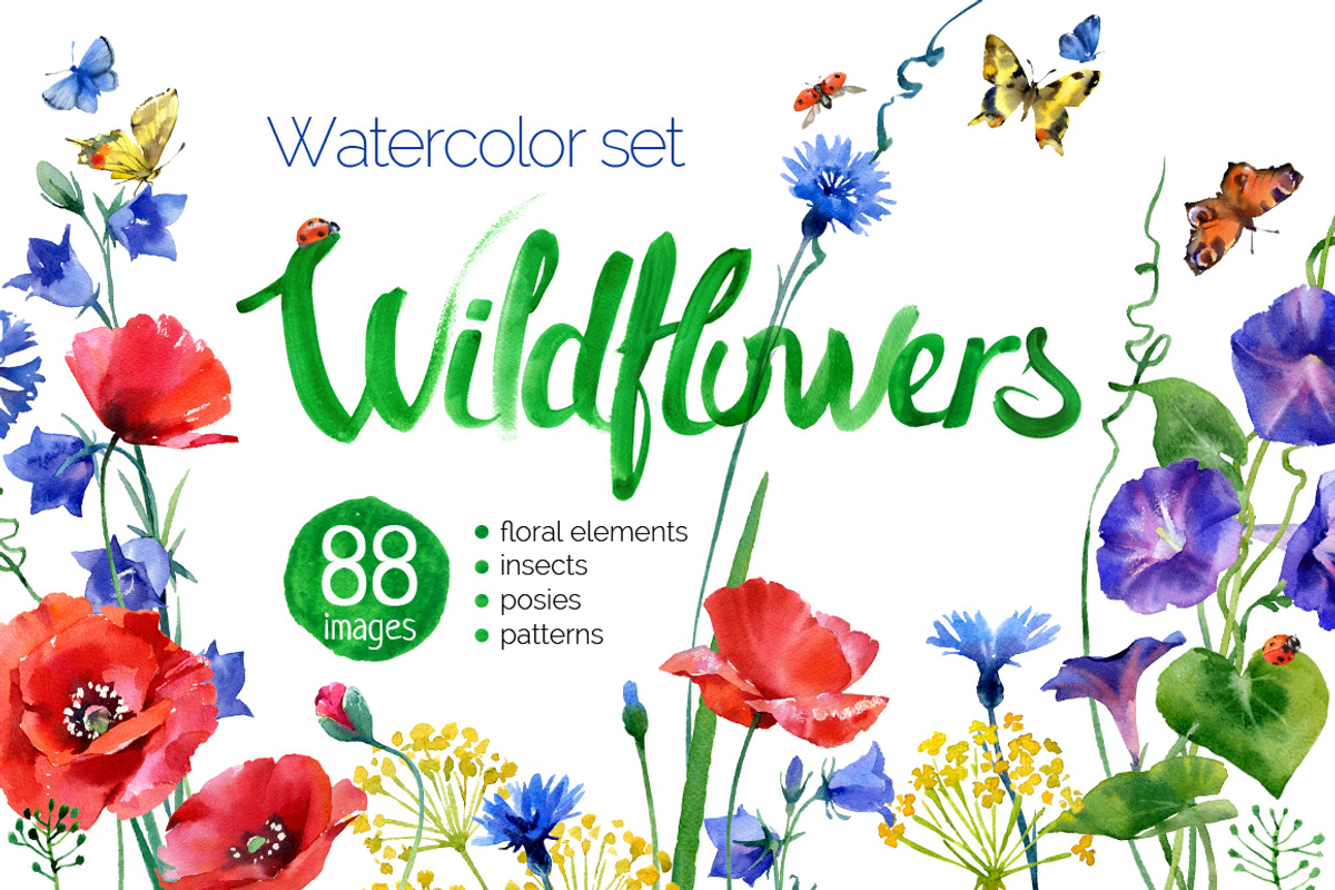 watercolor wildflower, an Illustration by ognivo (Photo 1 of 3)