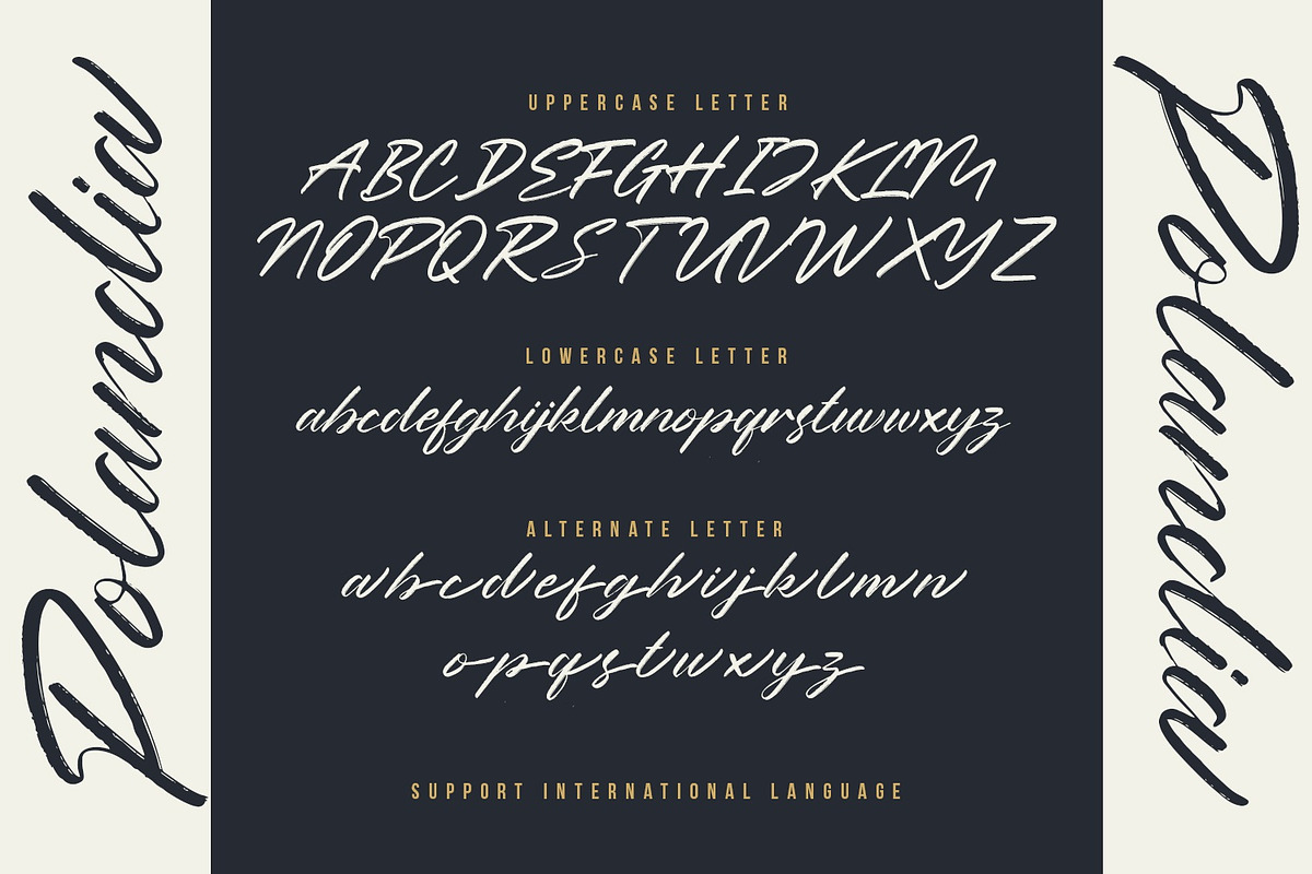 Polandia - The Handbrushed Font preview 7