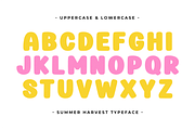 Summer Harvest - Playful Display, a Sans Serif Font by Pian45 Studio (Thumbnail 7 of 8)
