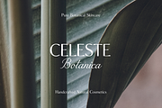 Celeste Art — Elegant Serif & Script, a Script Font by gafaroff studio (Thumbnail 5 of 12)
