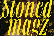 Silvermist Display Serif, a Serif Font by Letteralle Studios (Thumbnail 7 of 9)
