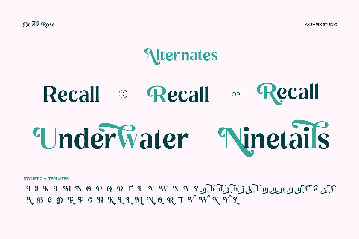 Briella Rose - Elegant Display Serif, a Serif Font by Aksapix Studio (Photo 7 of 12)