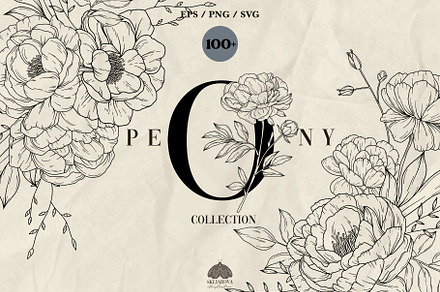 Peony line art collection, a Decorative Illustration by Skliarova