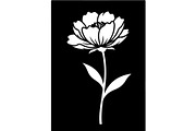 Vintage Botanical Flower Vector Set, an Object Illustration by Designer_Momina (Thumbnail 26 of 26)