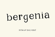 Bergenia, SVG pencil texture font, a Serif Font by Art pages (Thumbnail 1 of 6)