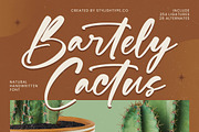 Bartely Cactus Natural Handwritten, a Script Font by stylishtype.co (Thumbnail 1 of 20)