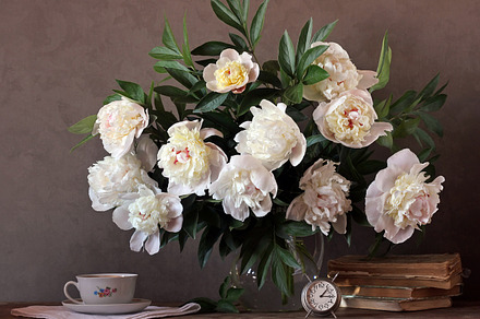 Peonies containing peony, flower, and bouquet, a Nature Photo by BalaguR