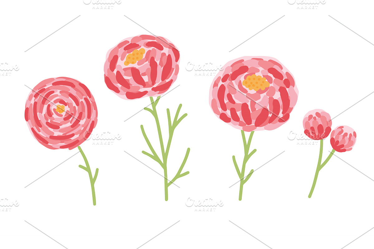 Pink peonies flower set isolated, an Object Illustration by Nadzin