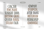 Ferdinos, a Serif Font by Dora Typefoundry (Thumbnail 3 of 14)