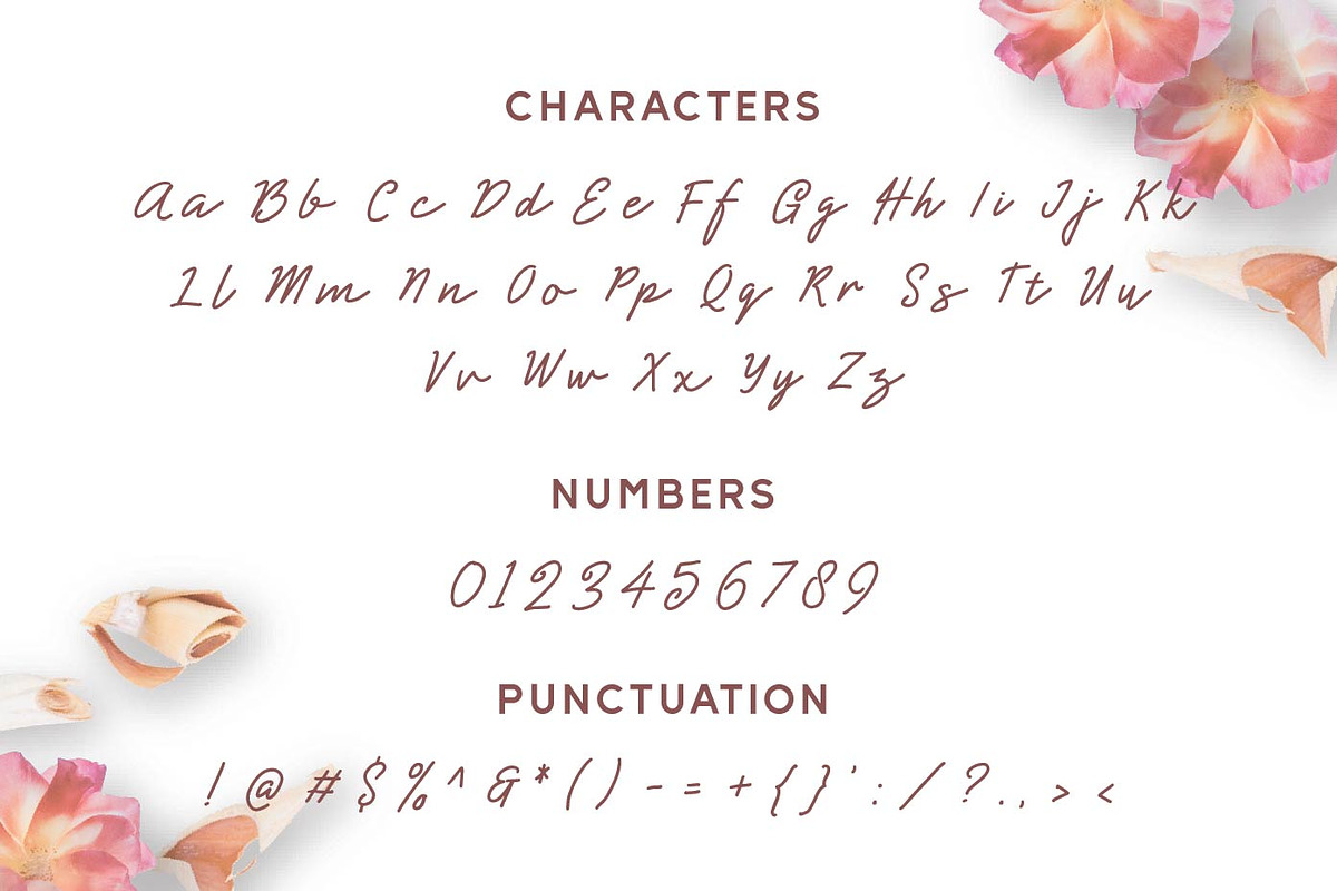 Shearlight - Monoline Script, a Script Font by Patria Ari (P4tcreativa) (Photo 7 of 9)