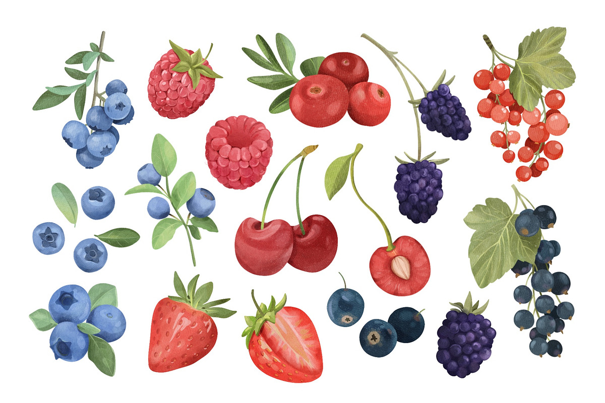 Watercolor Summer Berries + Bonus, a Food Illustration by ArtGiftsStudio (Photo 2 of 4)