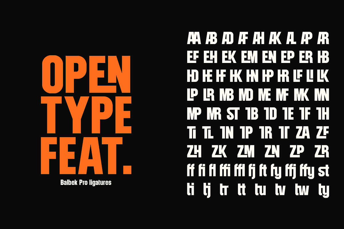 Balbek Pro - Modern Sans Serif, a Sans Serif Font by Valentino Vergan (Photo 15 of 18)