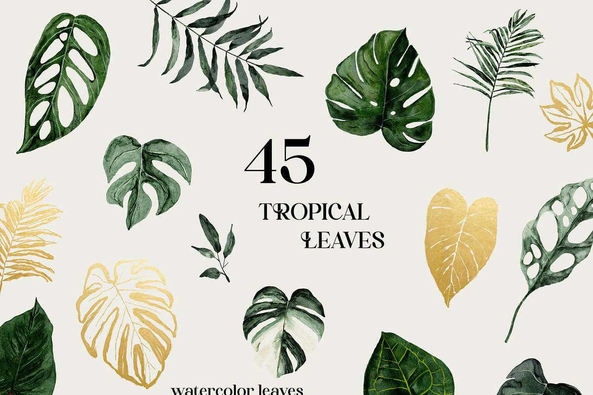 Protea - tropical collection, a Texture Illustration by Backyard Rose (Photo 6 of 22)