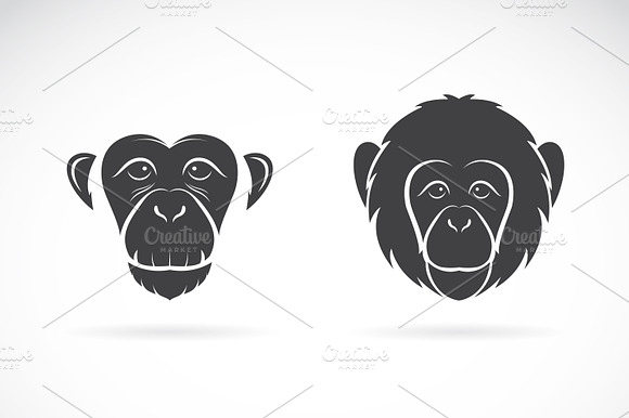 Vector Of Monkey Face. Wild Animals.