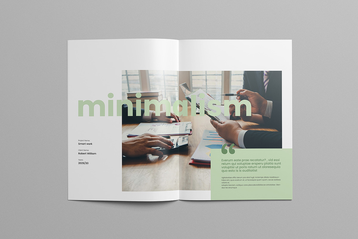 Portfolio preview 5
