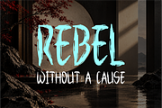 DRAZEL — Distressed Brush Font, a Handwritten Font by idealistudio (Thumbnail 3 of 5)